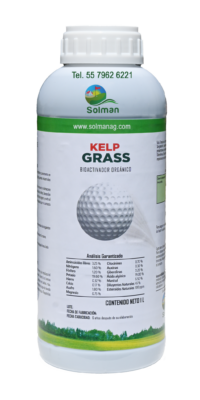KELP GRASS