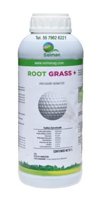 ROOT GRASS +